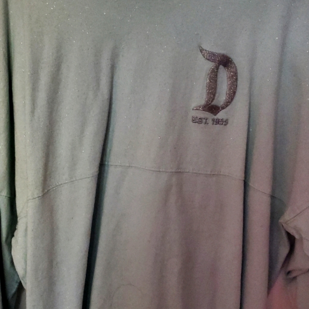 Disneyland Spirit Jersey